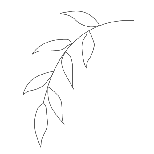 drawing of leaves on a white background