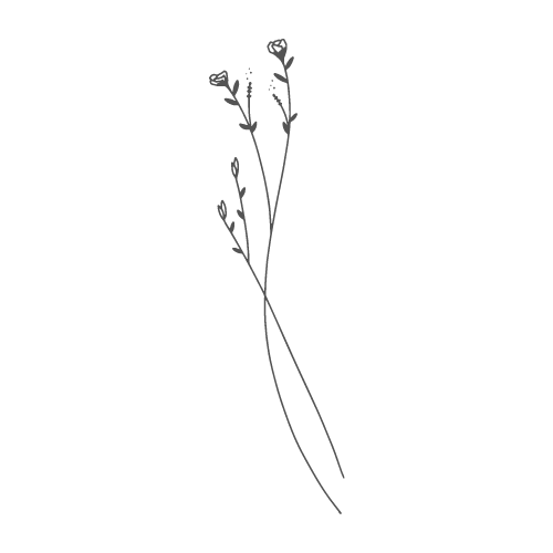 drawing of flowers on a white background